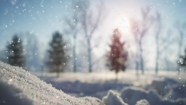 Seamless loop slow motion Snowfall in beautiful winter park at sunny morning