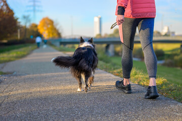 Low angle view of an athletic woman walking her dog at sunset