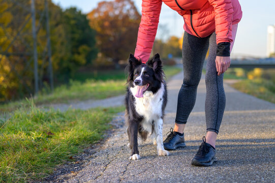 Woman Bending Down To Pet Her Border Collie Dog Outdoors