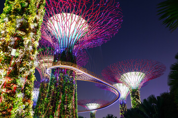 Supertree Grove Gardens by the Bay at night in Singapore