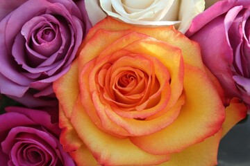 bouquet of colorful roses