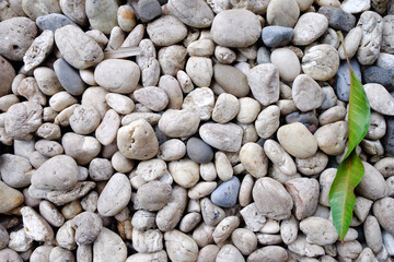 abstract stones texture background