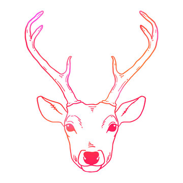Reindeer Linear Handdrawn Sketch Vector Outline Deer Illustration On White  Background Stock Illustration  Download Image Now  iStock