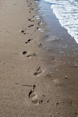 Fototapeta na wymiar sea background surf with foam on sandy beach with foot prints, top view