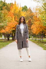 Obraz premium Young beautiful brunette girl walking in autumn park