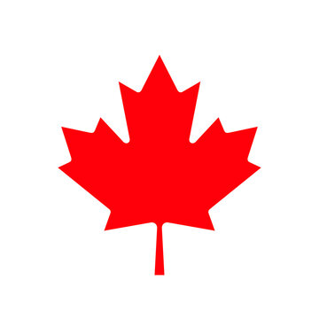 Red maple leaf, symbol of Canada. The emblem of the Canadian maple leaf, depicted on the flag of Canada. Isolated illustration, raster sign.