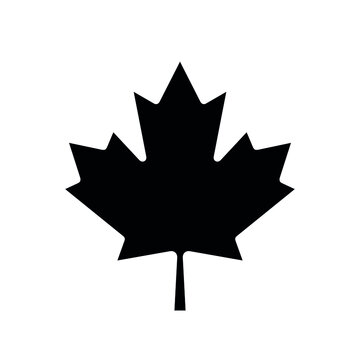 Black maple leaf, symbol of Canada. The emblem of the Canadian maple leaf, depicted on the flag of Canada. Isolated illustration, vector sign.