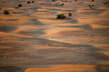 Aerial view of single Oryx roaming in the Rub' al Khali Empty Quarter desert near Dubai, United Arab Emirates