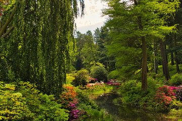 Rhododendronpark in Kromlau Rhododendron verschiedenen Farben und unterschiedlichen Sorten