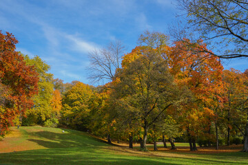 Colorful trees and leaves in a park in autumn