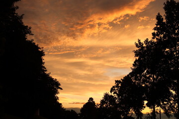 Fototapeta na wymiar 公園の立ち木と夕焼け空