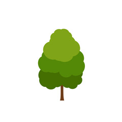 Green tree, A variety of forms on the White Background,Set of various tree sets,Trees for decorating gardens and home designs.vector illustration and icon