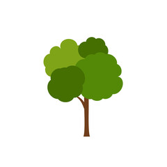 Green tree, A variety of forms on the White Background,Set of various tree sets,Trees for decorating gardens and home designs.vector illustration and icon