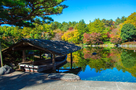 東京都立川市と昭島市にまたがる国営昭和記念公園　日本庭園の紅葉　2021年11月