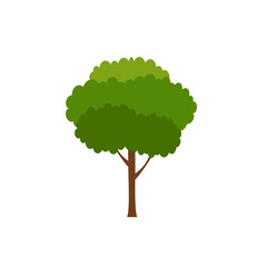 Green tree, A variety of forms on the White Background,Set of various tree sets,Trees for decorating gardens and home designs.vector illustration and icon