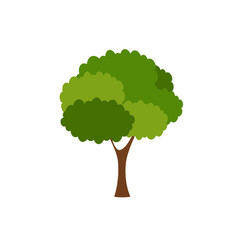 Green tree, A variety of forms on the White Background,Set of various tree sets,Trees for decorating gardens and home designs.vector illustration and icon