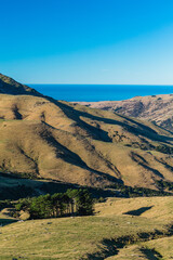 ニュージーランド　南島の町、アカロア郊外の丘から望むバンクス半島の風景