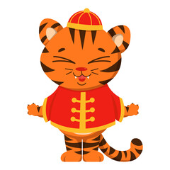 A tiger in a national Chinese costume.