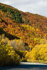 Obraz premium ニュージーランド オタゴ地方のアロータウンの秋の山の紅葉とアロー川
