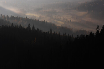las i wschód słońca w rudawach janowickich 