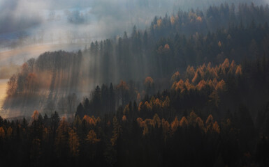drzewa i lasery jesienią w rudawach janowickich
