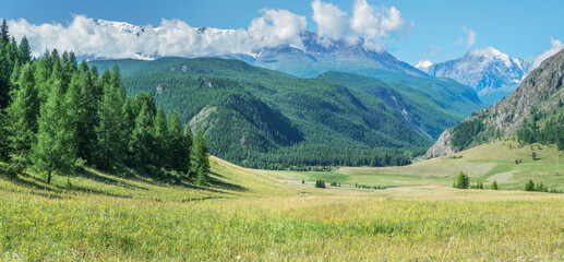 Picturesque mountain valley on a sunny summer morning, panoramic view