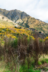  ニュージーランド　オタゴ地方のクイーンズタウン近郊のアーサーズポイントの風景と紅葉