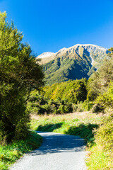 ニュージーランド　オタゴ地方のブループールまでのウォーキングトラックの風景
