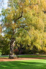 ニュージーランド　クライストチャーチの市街地にあるクライストチャーチ・ボタニック・ガーデンズのアーチェリー・ローンと紅葉