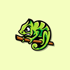 chameleon mascot character design