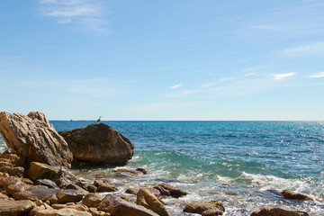 Paisaje marino en playa de roca con gaviota posada en roca