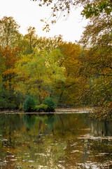 Fototapeta premium Teichlandschaft bei Bischofswerda- Horkaer Teiche