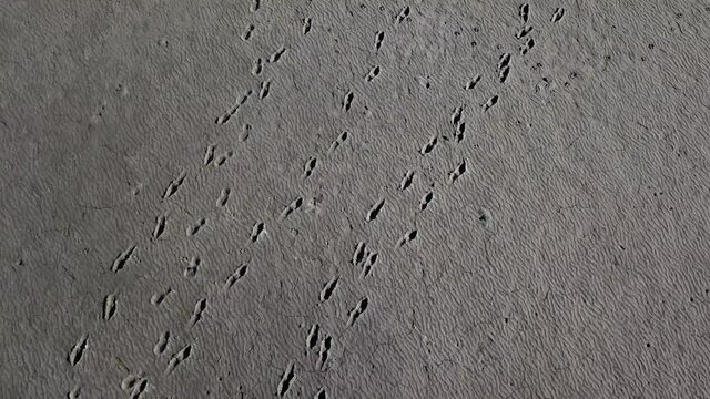Top view of boat at the shore of dried up sea, global warming and drought concept. Windy weather desert landscape with human and animal tracks on dry clay. 4k high quality drone ungraded footage