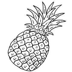 Fruit sketch ink illustration. Set of hand drawn ink sketch pineapple. Organic eco food. Fresh whole vegetable.
