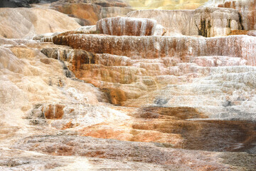 Yellowstone National Park / Mammoth Hot Springs
