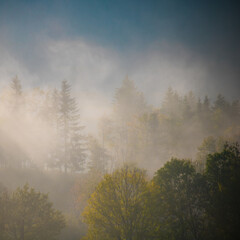 paysage de brume en automne dans les monts du beaujolais en france