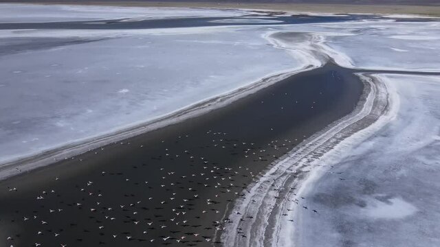 The flight of Parihuanas