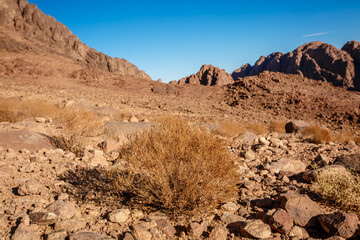 Egypt, view of Mount Moses on a bright sunny day. South Sinai, Egypt