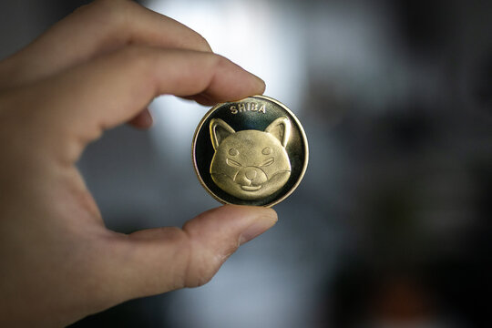 Shiba Inu Coin held between two fingers.