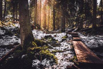 Duckboards leading into deep forest. Winter landscape in Karnaistenkorpi, Finland. Sunlight peaking through trees.