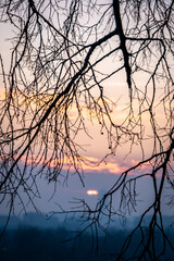 Evening view on Sava and Danube river from park Kalemegdan in Belgrade, Serbia. Silhouettes of tree branches on the background of sunset