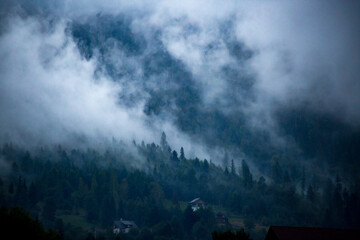 fog after rain in the dark mountain forest