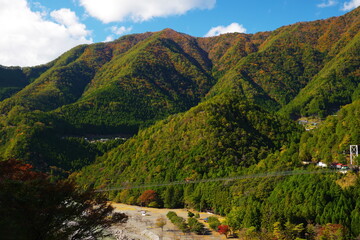 橋を渡り