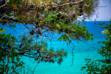 Blue sea on the Turkish coast. Azure water and trees as a background. Dilek National Park, Kusadasi, Turkey