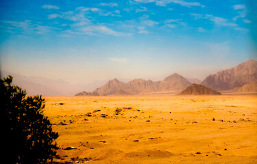 Plakat sunset in the desert, mountains in the background