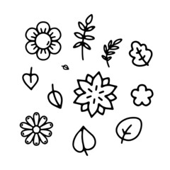 Linear vector illustration of flowers and leaves in cartoon style. Black and white illustration of ornamental plants
