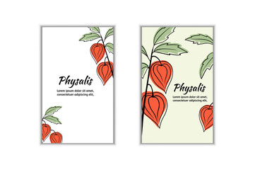Physalis branches vector set on white background
