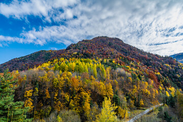 Fototapeta premium I colori dell’autunno in Valle Maira. Larici, faggi, aceri e abeti cambiano veste