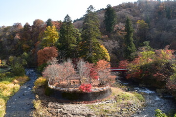 The view of Autumn in Aomori, Japan
