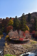 The view of Autumn in Aomori, Japan